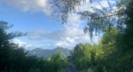 北京国安官方声明：管理失职事件处理及球队形象修复